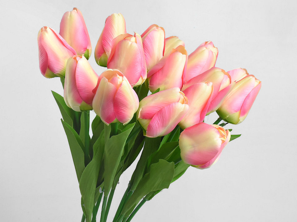 Tulp Roze 60cm