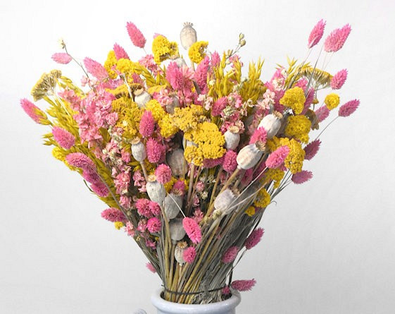 Droogbloemen Boeket Geel/Roze XL