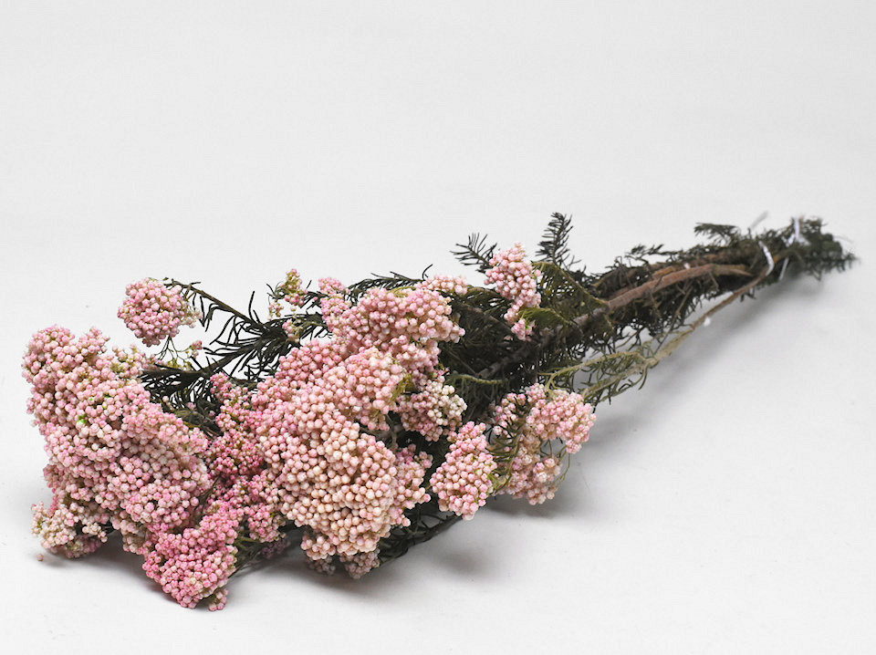 Rice Flower 100gr.