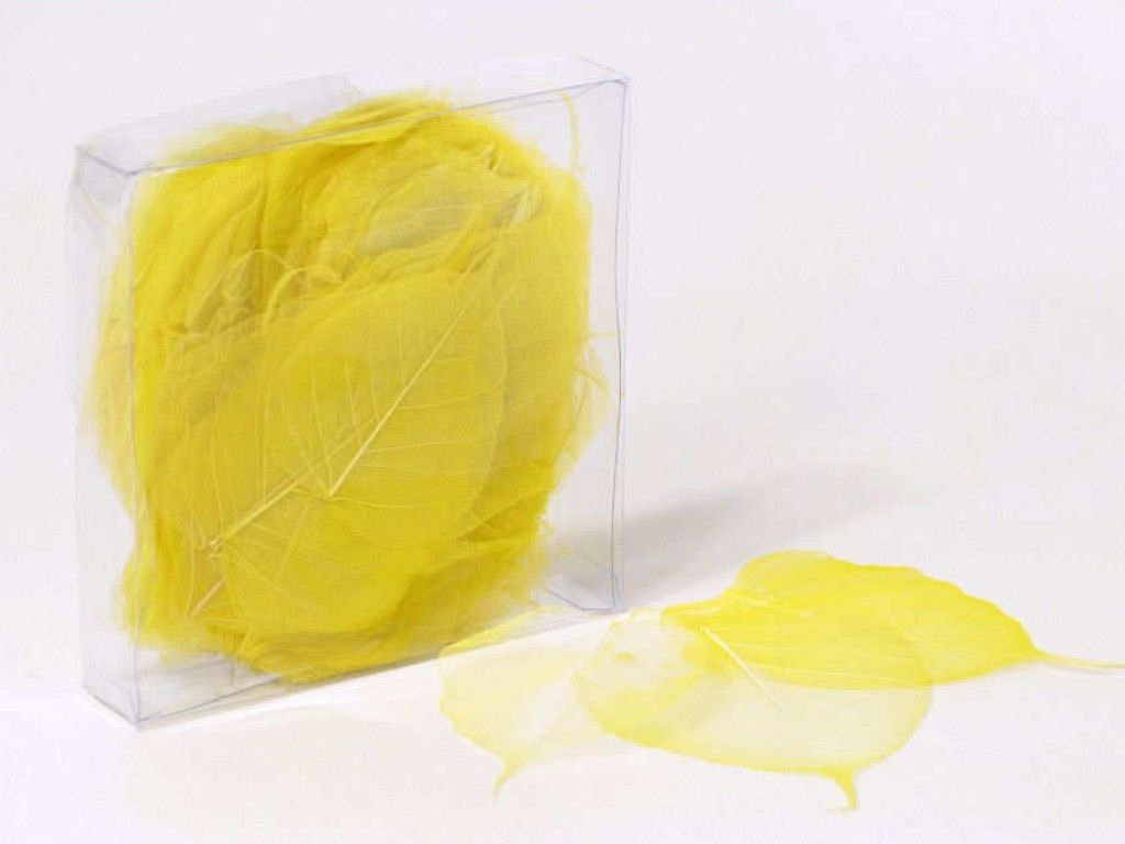 Feuilles Squelette 200pcs jaune
