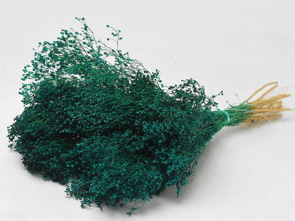 Bouquet Broom Bloom Vert Émeraude 50cm