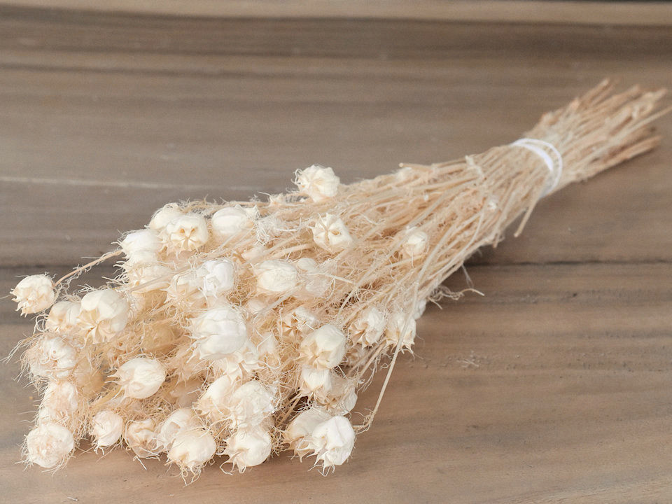 Nigella Blanchi 100gr.