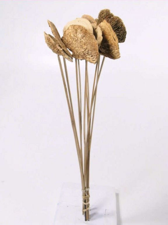 Elfenbankje op 50cm steel