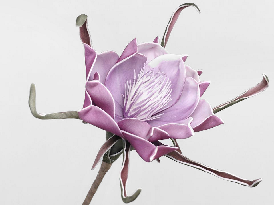 Foam Bloem Paars, D 20cm