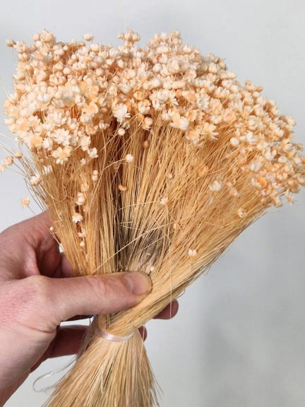 Glixia (50gr) Pastel Perzik 30cm