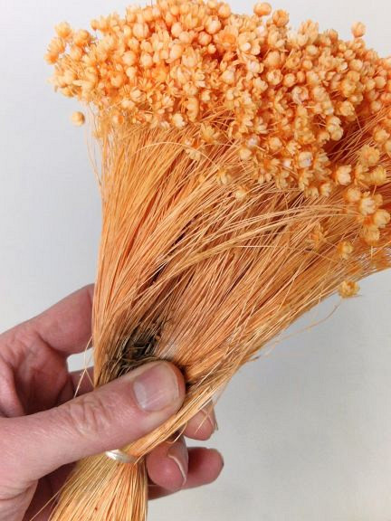 Glixia (50gr) Oranje 30cm