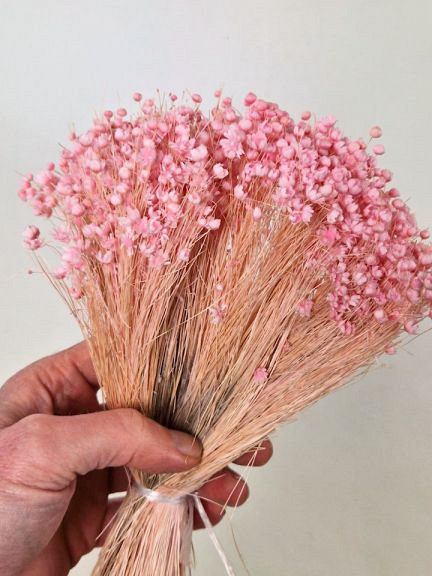 Glixia (50gr) Pastelroze 30cm