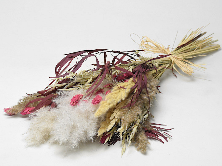 Droogbloemen Boeket Pampas Wit Roze