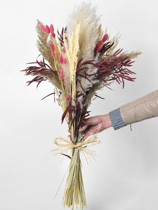 Droogbloemen Boeket Pampas Wit Roze
