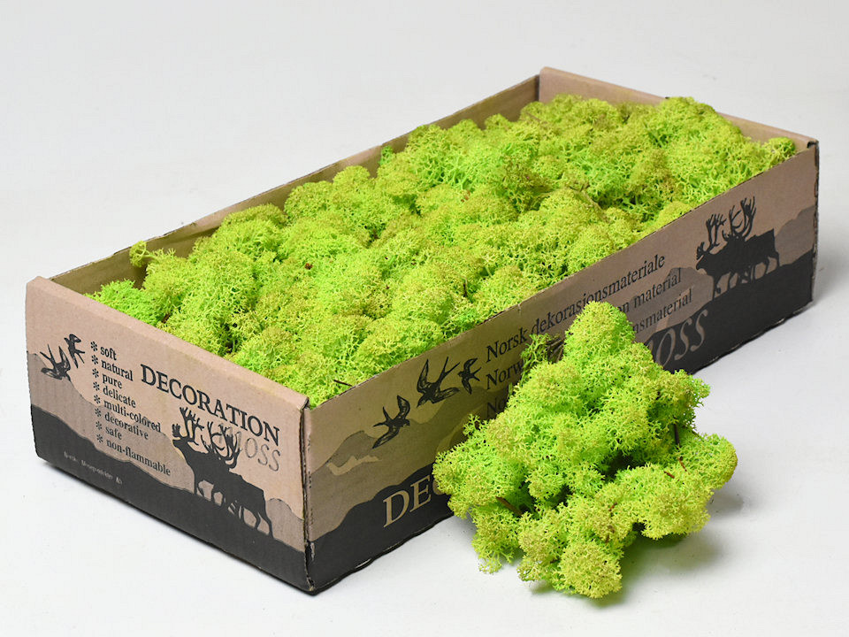 Rendiermos Lentegroen 500gr.