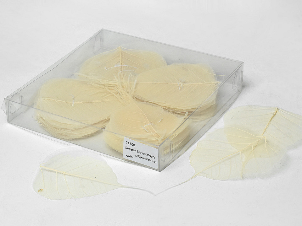 Feuilles Squelette Blanc 200pcs 