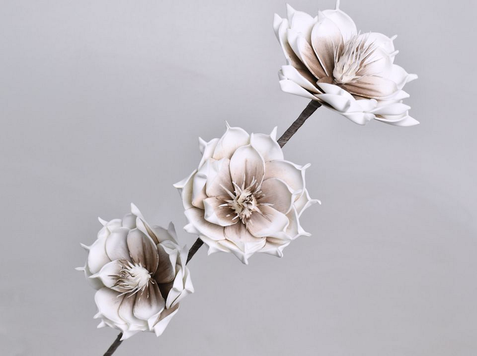 Fleurs en mousse Mocca, D 18cm