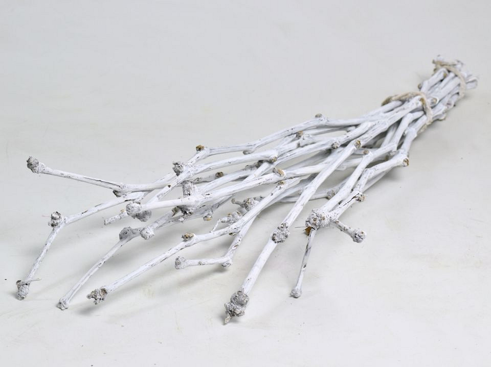 Paquet Branches Bois Vigne 75cm Blanc