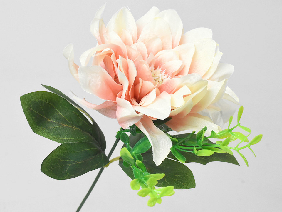 Dahlia D14cm Crème