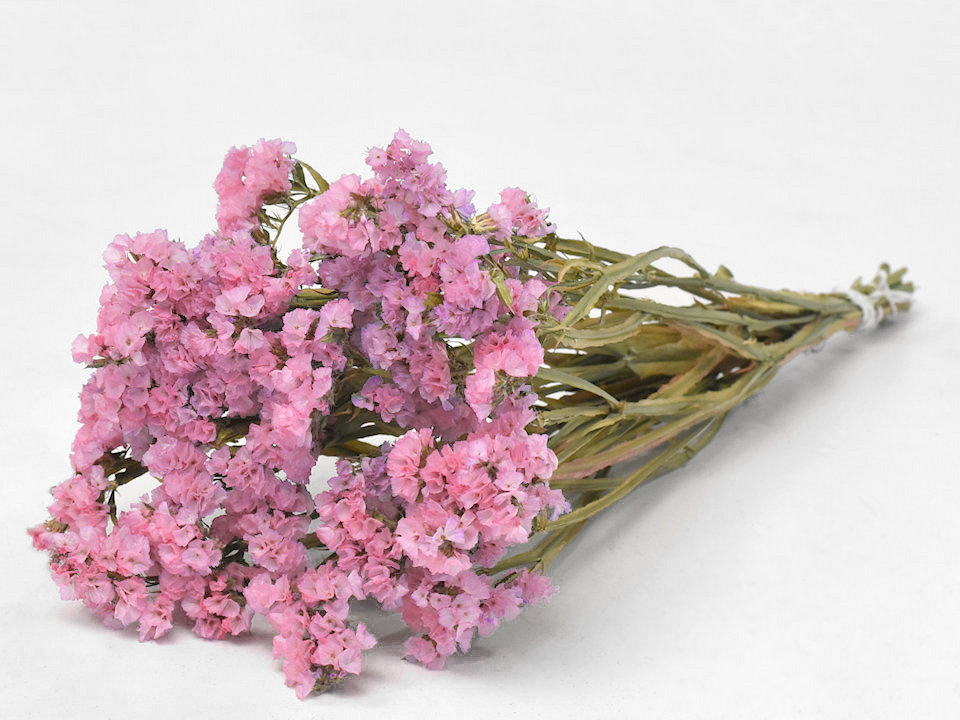 Statice Sinuata Roze