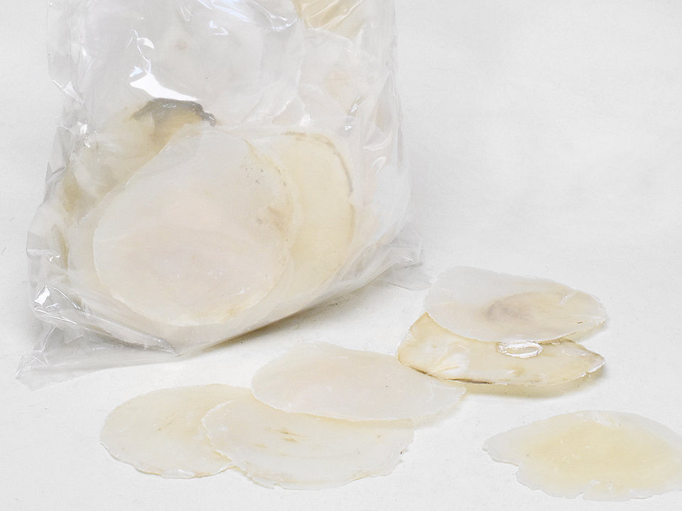Disque Mère de Perle 9-12cm 1kg