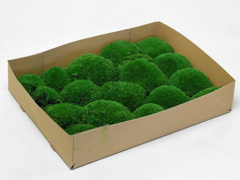 Boule de mousse Vert Forêt (Tray 29x39cm)
