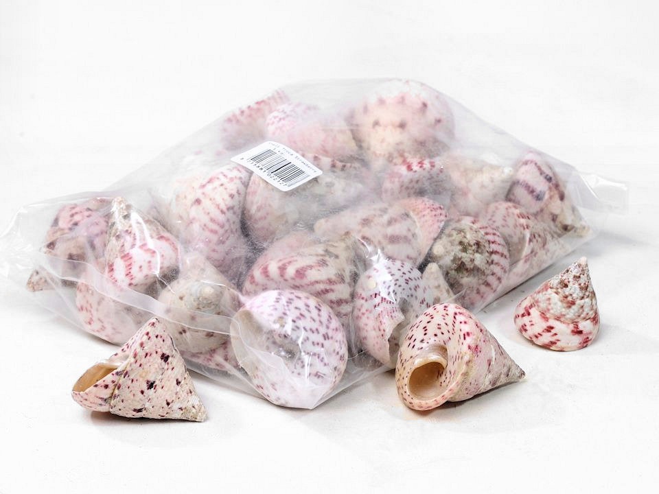 Schelpen Trochus Strawberry 1kg