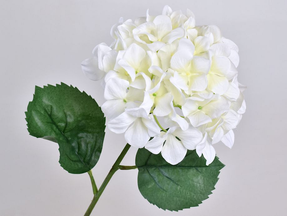Hortensia 68cm Wit