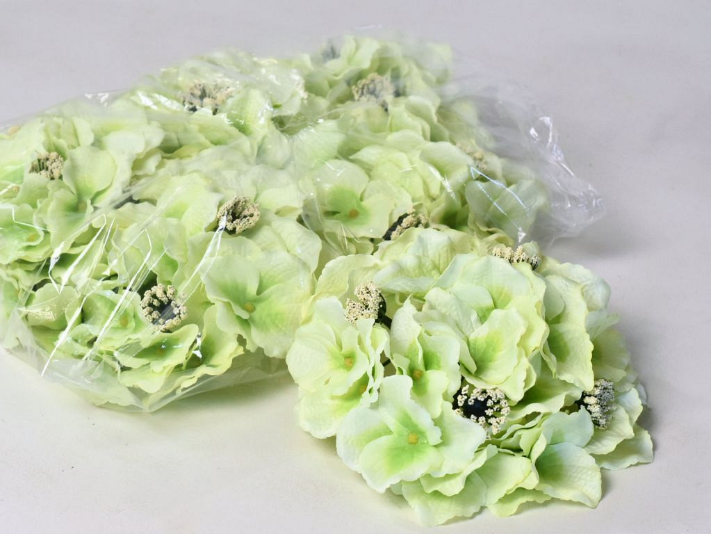 Tête d'Hortensia D18cm Vert