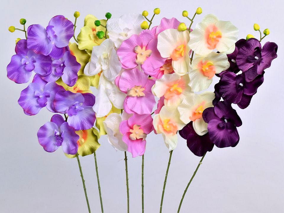 Phalaenopsis Mix 70cm