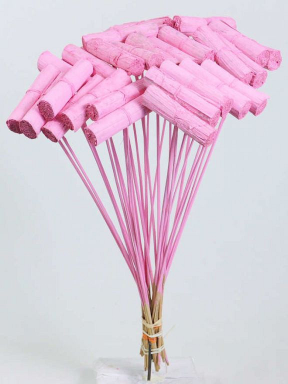 Banana Bundle sur Tige rose