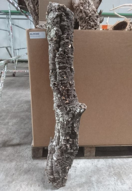 Kurk Stam XL 110-130cm