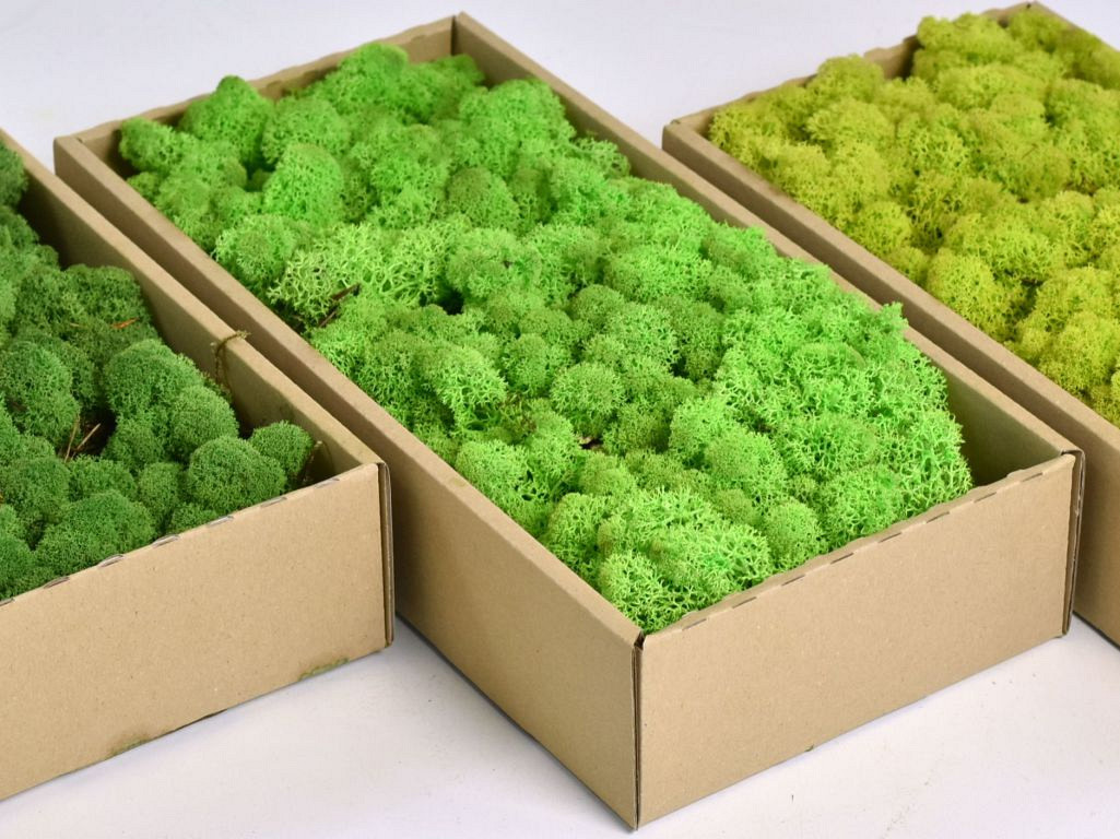 Rendiermos Lentegroen 500gr.