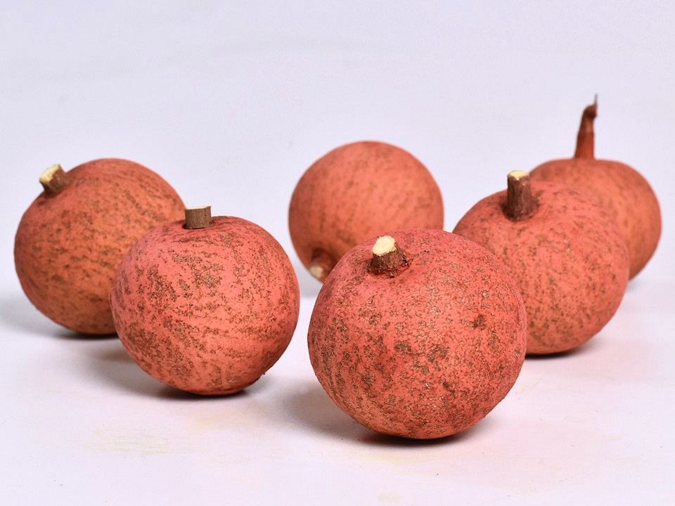 Meloen Large Rood 7-9cm