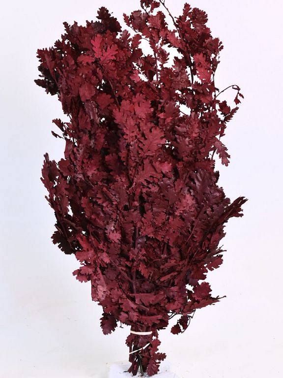 Eikenblad Rood 1Kg