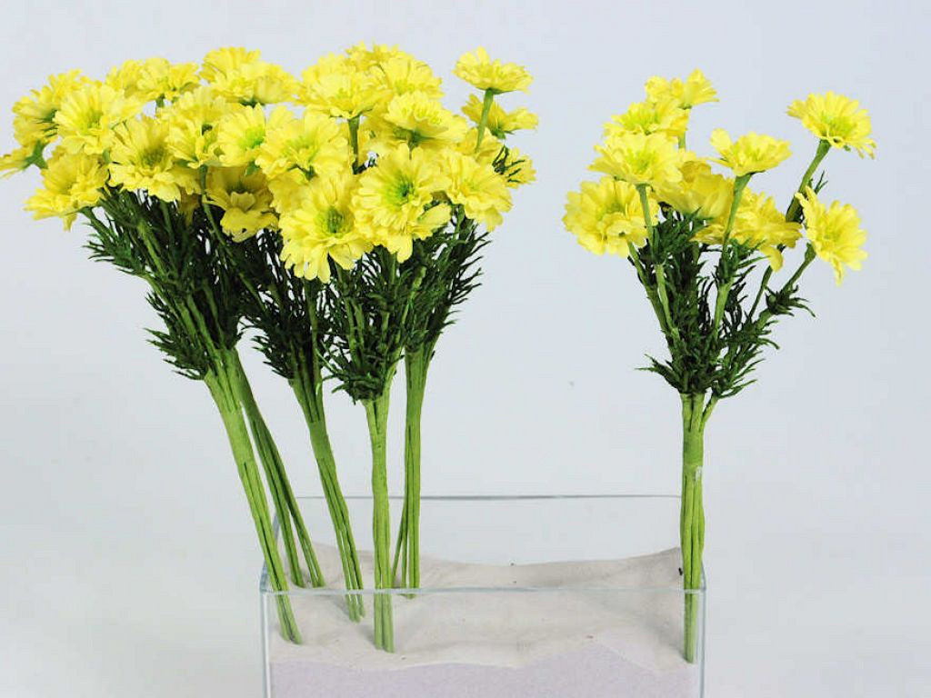 Bouquet de Asters 30cm jaune
