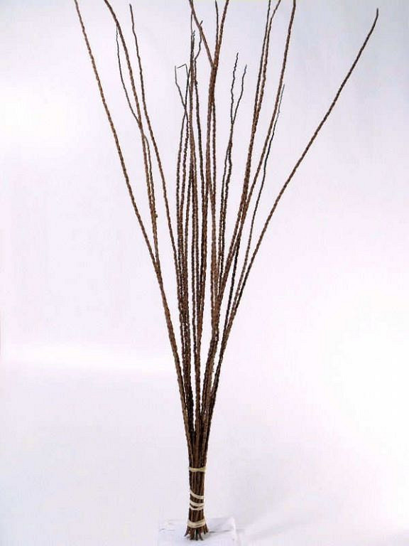 Bacaba Grass 20pcs 90-115cm