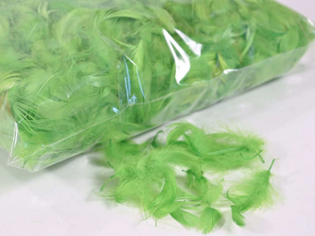 Plumes Vert 100gr.
