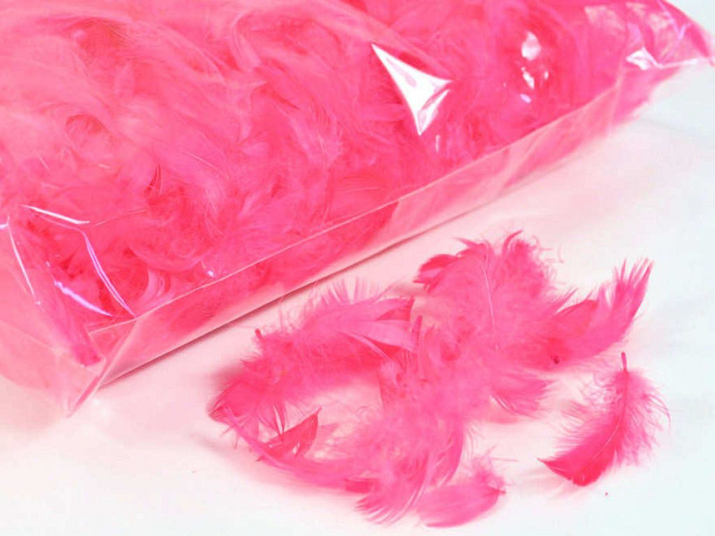 Plumes Rose 100gr.