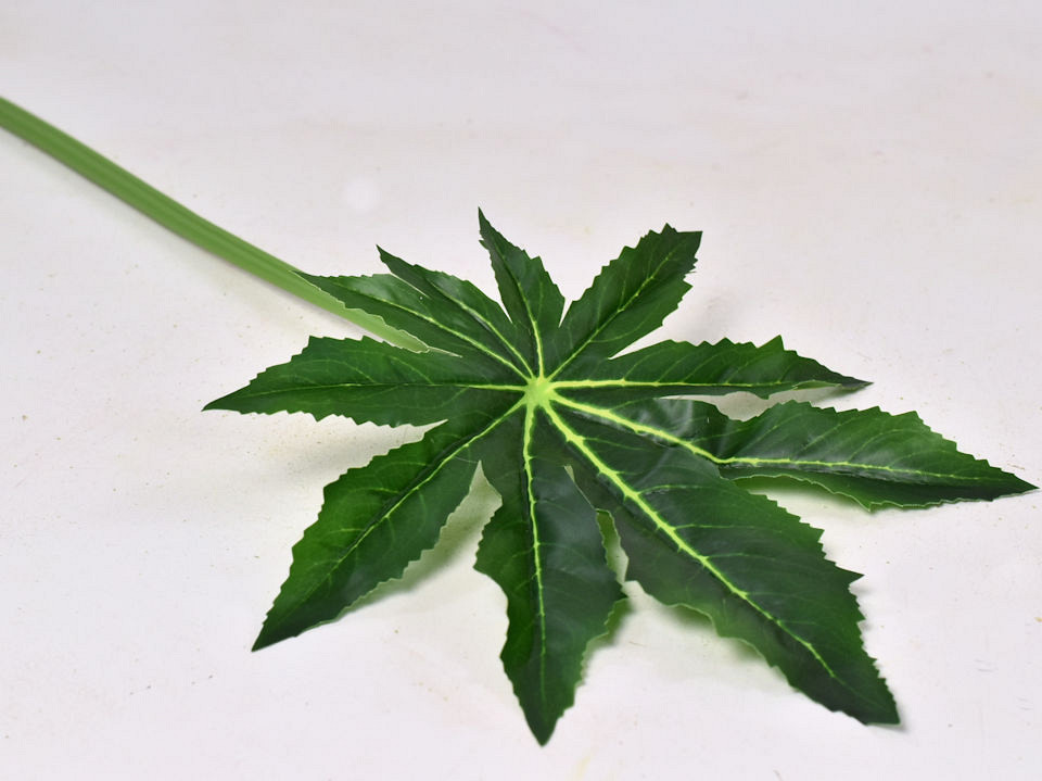 Aralia Blad D25cm L55cm
