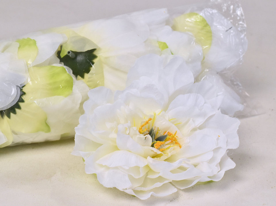 Pivoine D13cm Blanc