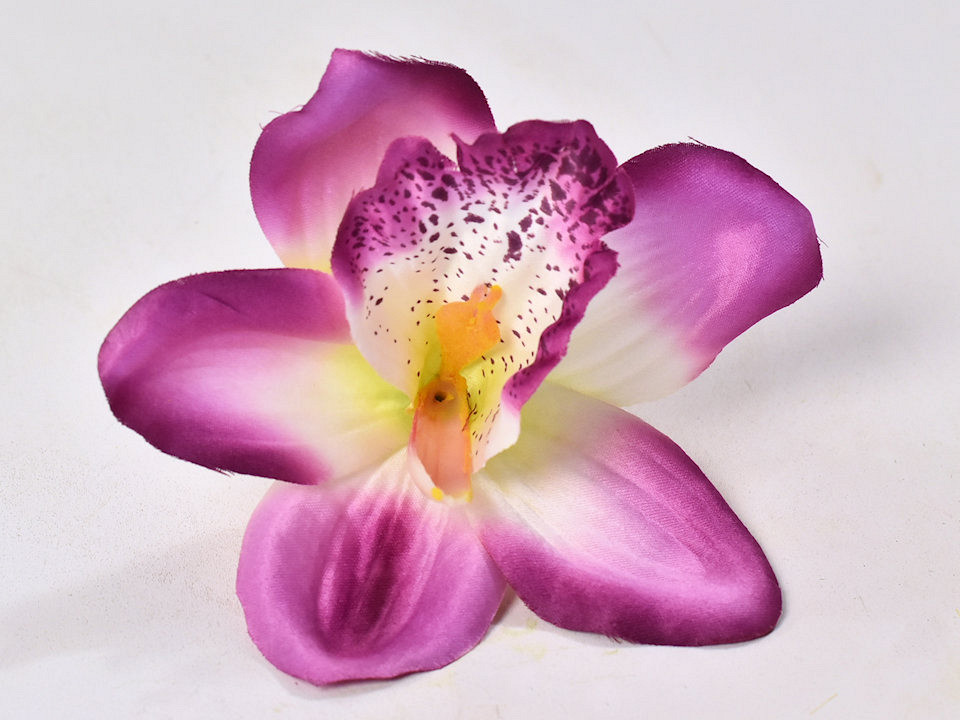 Orchidée Pourpre D14cm