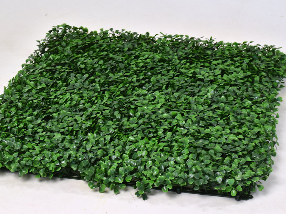 Boxwood mat 50x50cm