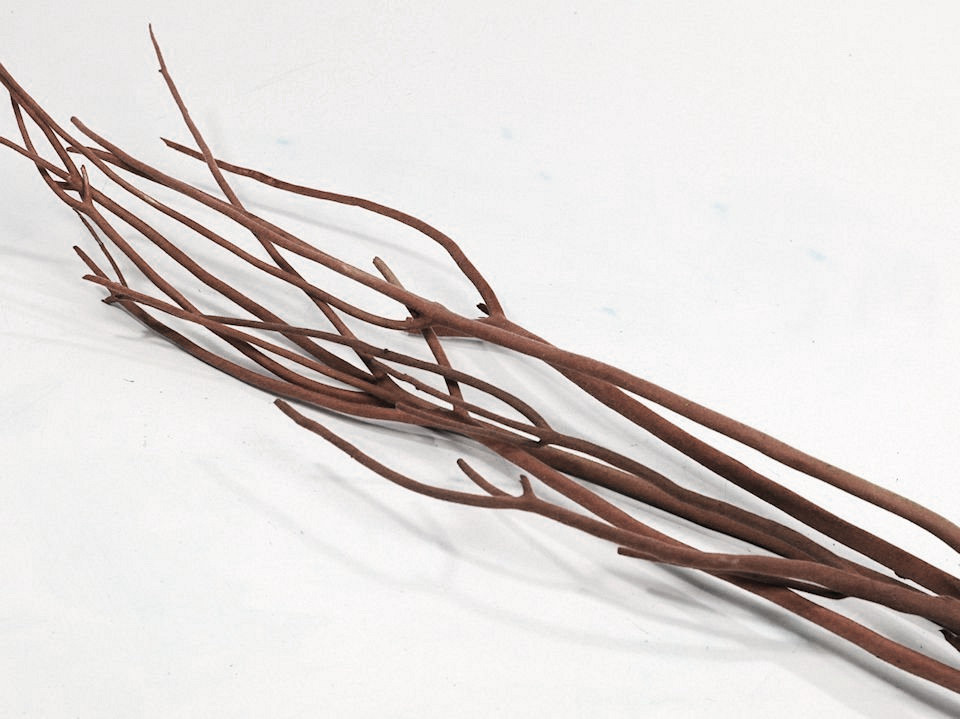 Mitsumata 115cm Marron