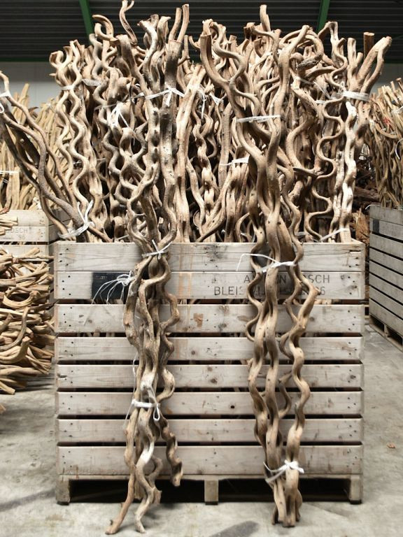 Curved Liaan Vine 2m