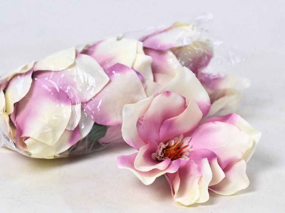 Magnolia D17cm Crème Rose