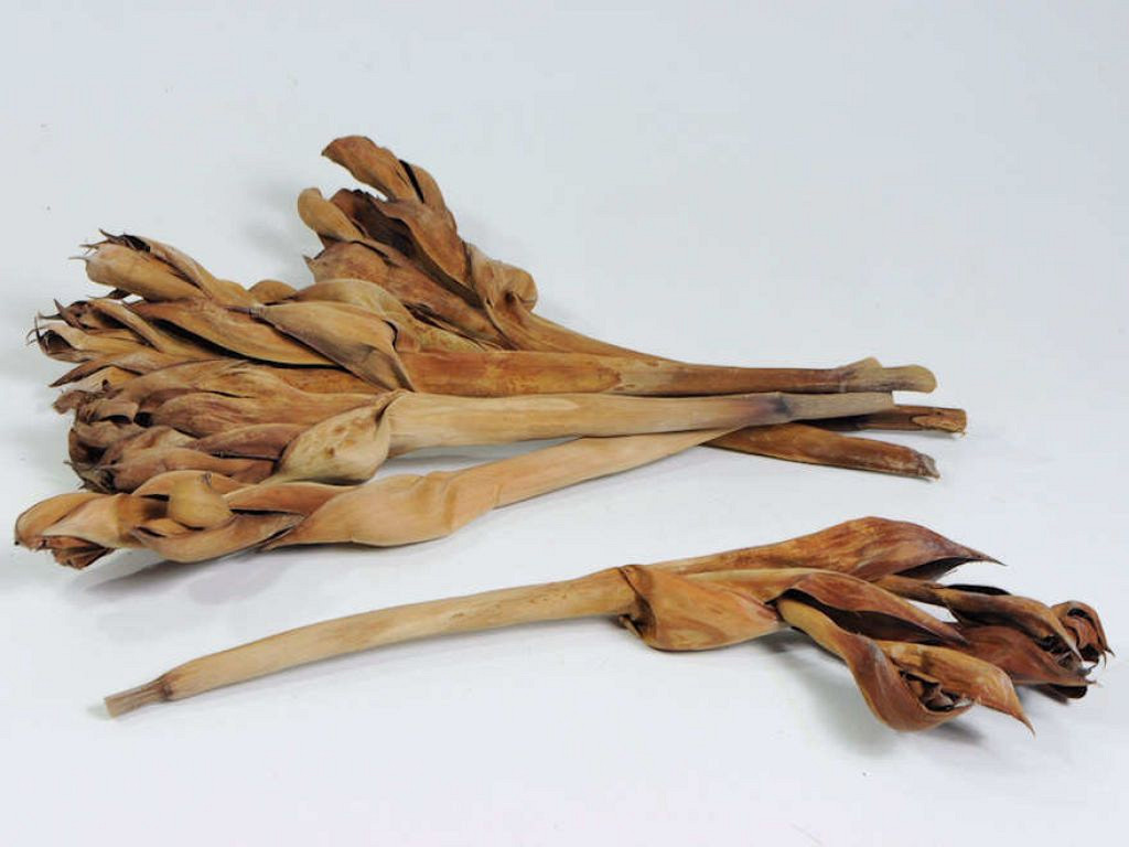 Nipa Palm Leaf 40-55cm