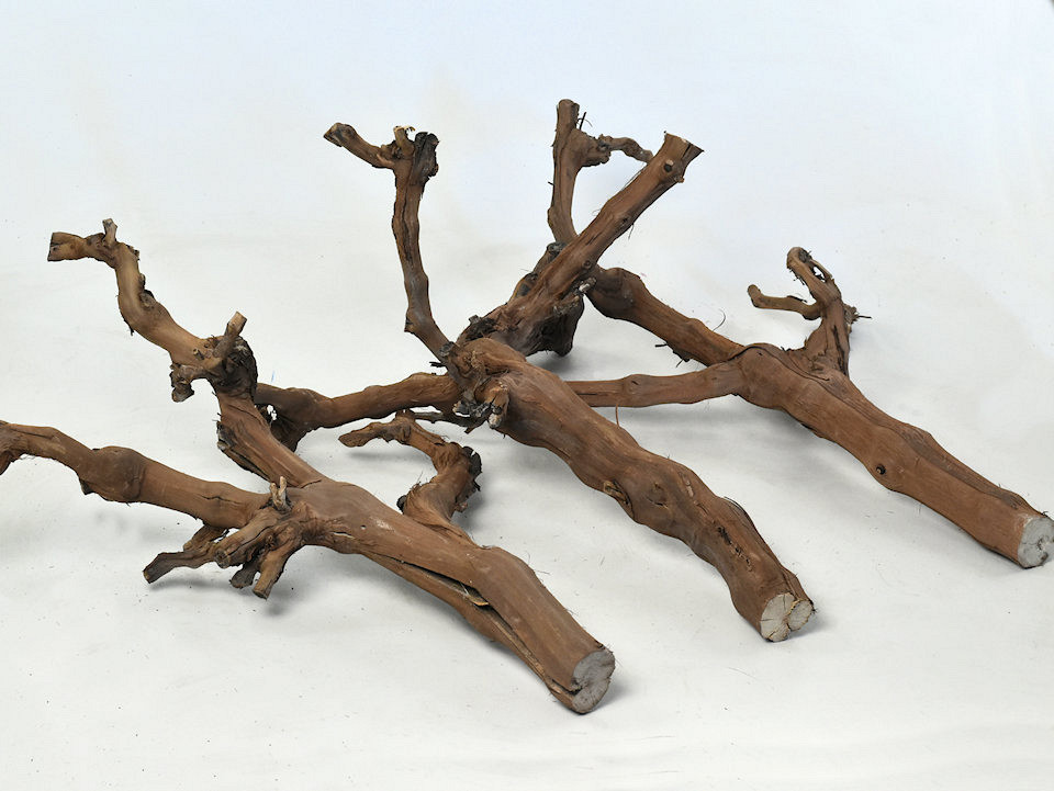 Bois Vigne 50-60cm