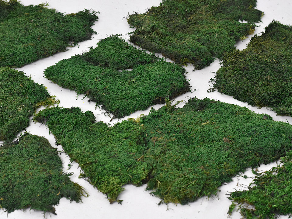 Mousse Plate Vert Forêt pro Kg