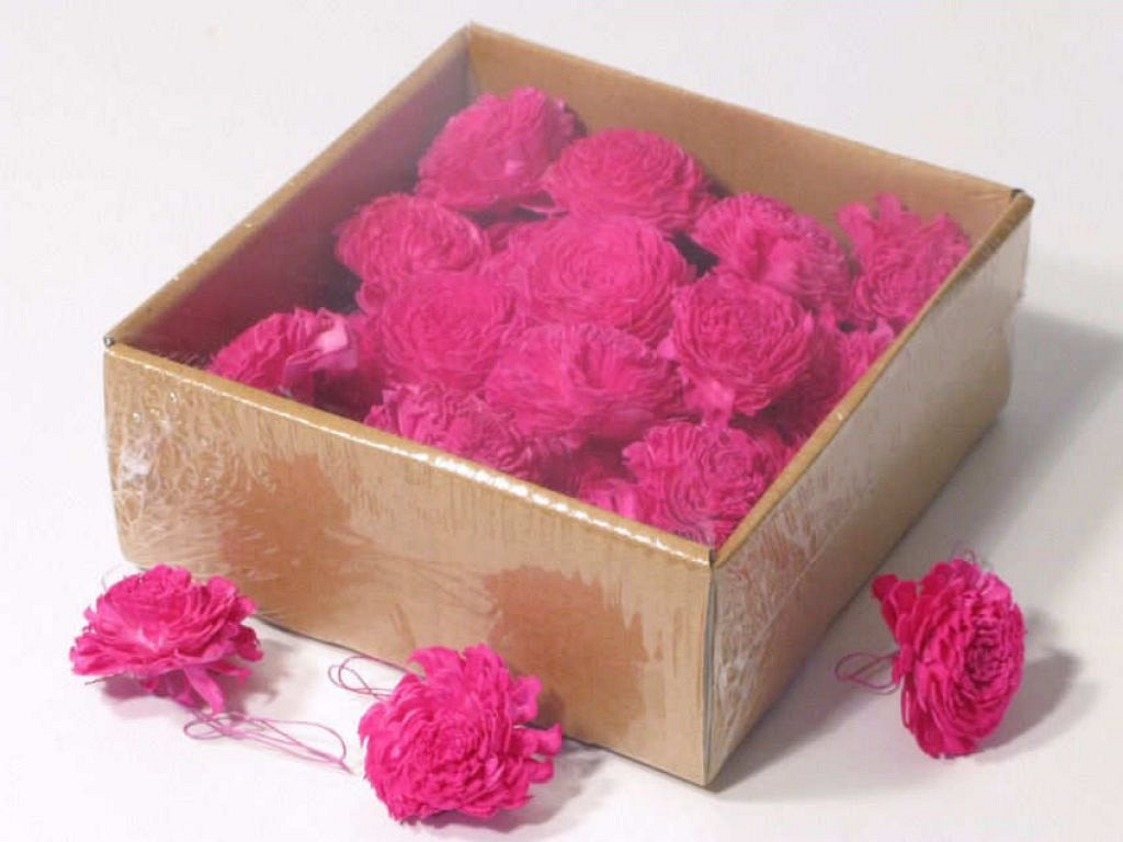 Sola Carnation 5cm Pink 25pcs