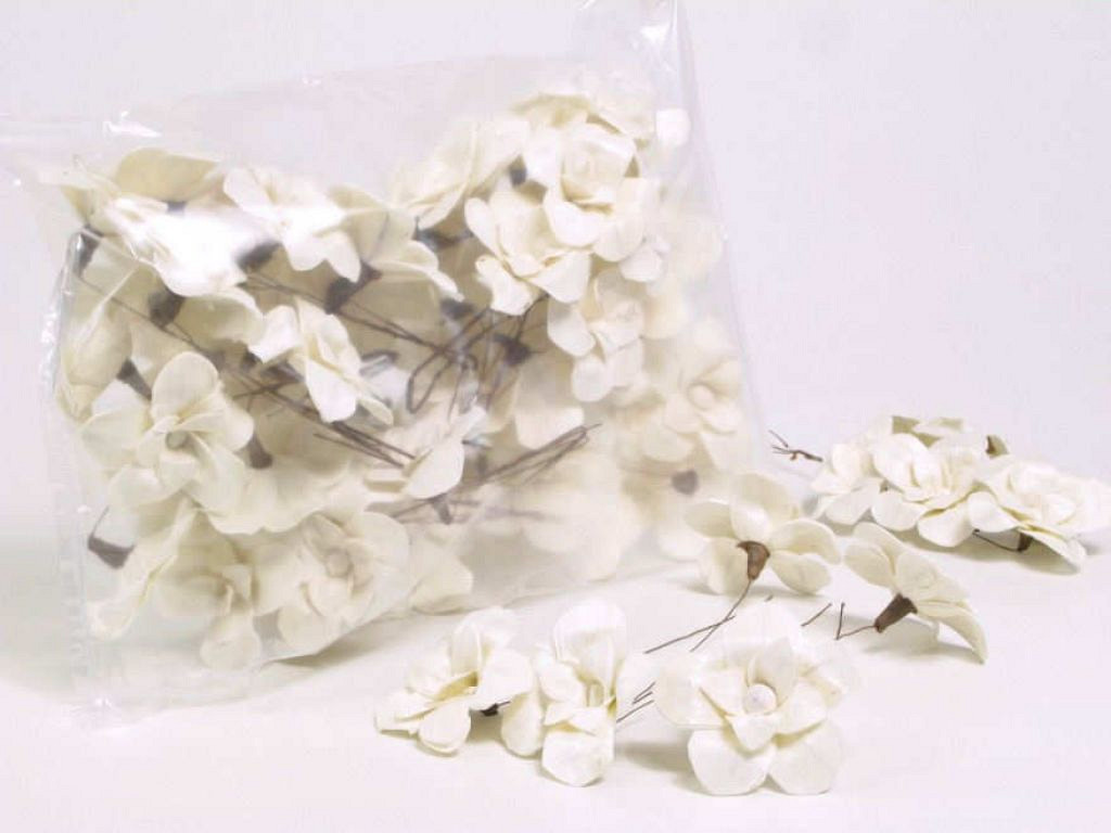 Sola Tulpenbaum 6cm white