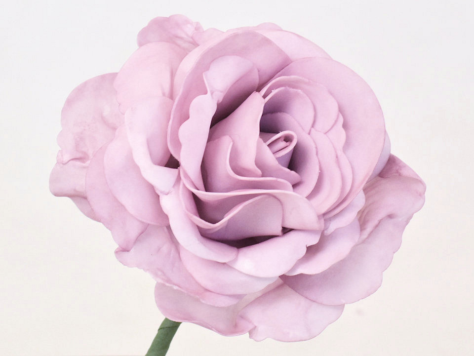 Foam Roos XL Roze, D13cm
