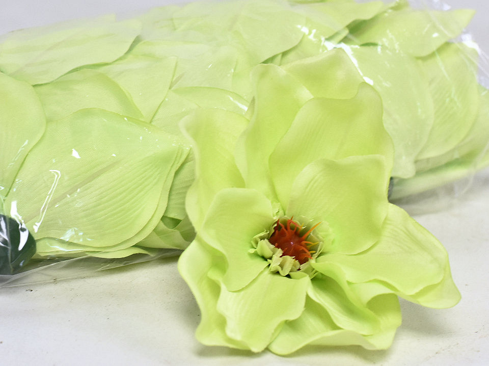 Magnolia D17cm Vert Clair