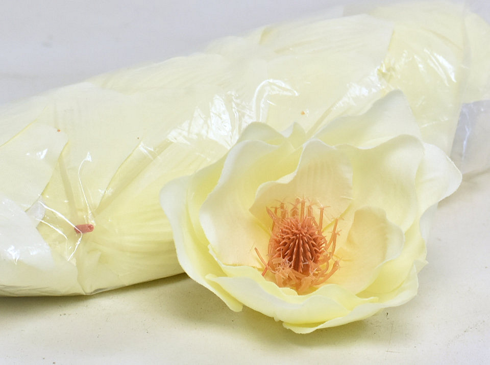 Magnolia D17cm Creme Geel