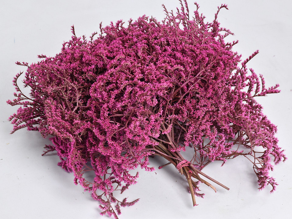 Statice Tatarica 150gr. Pink